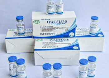 Vắc xin tiêm phòng cúm B và báo giá tiêm tại VHN Care