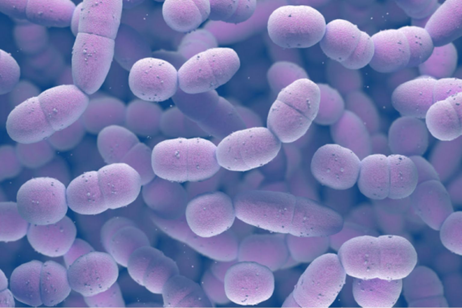 Bệnh phế cầu: Kẻ thầm lặng gây viêm phổi và viêm màng não